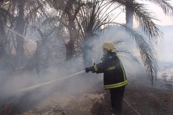 حريق مزرعة موز في البلقاء