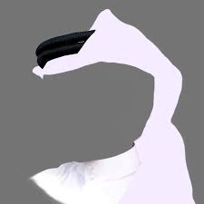 دبلوماسي خليجي في المقاهي ويغفل واجباته