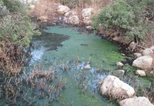 مياه اليرموك تعالج تلوث مياه في