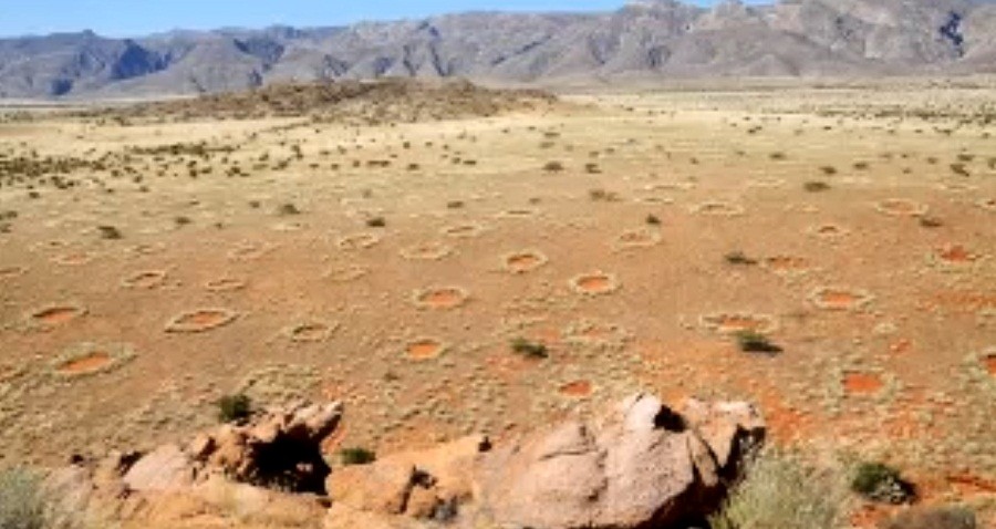 لغز ’دوائر الجن‘ يفكه العلماء أخيرا