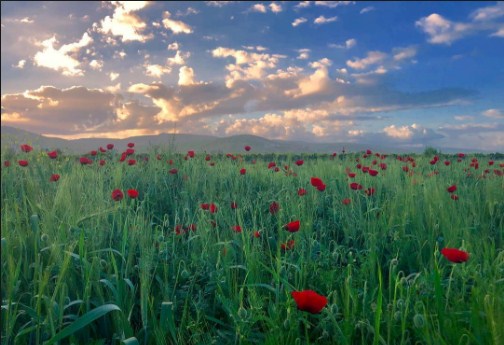 انخفاض على درجات الحرارة اليوم وغدا