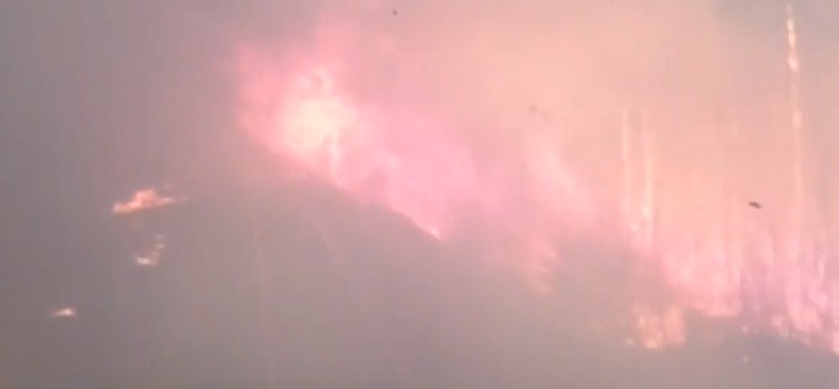 قطار ركاب يخترق حريقا في غابات