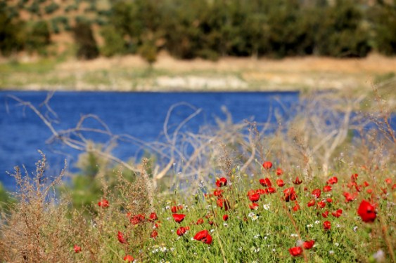 الحرارة الى ارتفاع حتى الجمعة