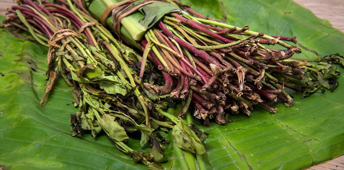 بسبب نبتة ’قات‘.. يمني يقتل والده