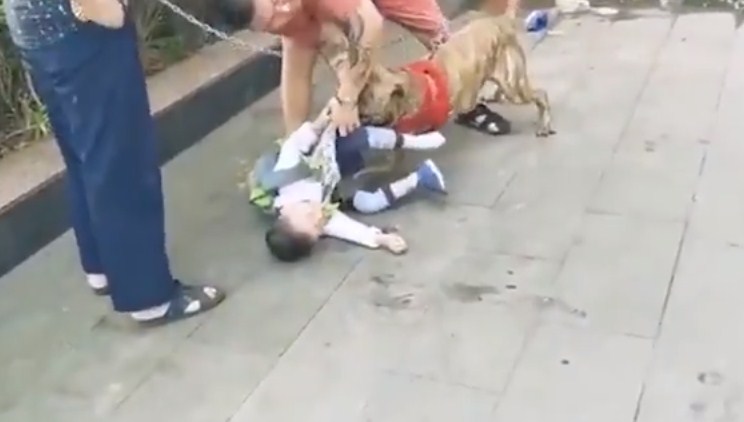 بالفيديو: شاهد كيف أنقذ المارة طفلا