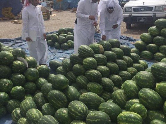قطر: البطيخ الأردني مطابق للمواصفات وصالح