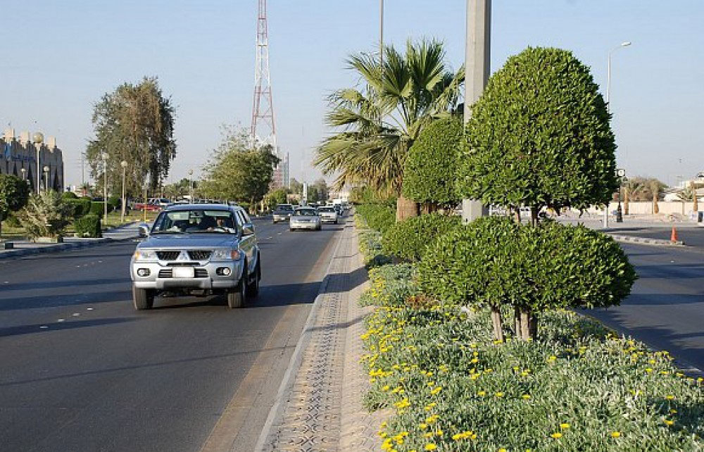 المفرق: بلدية فشلت بزراعة «أشجار طبيعية»..