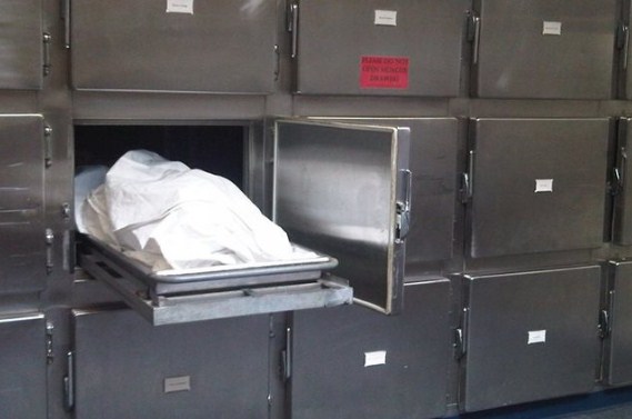 وفاة طفلة «5 شهور» في مستشفى