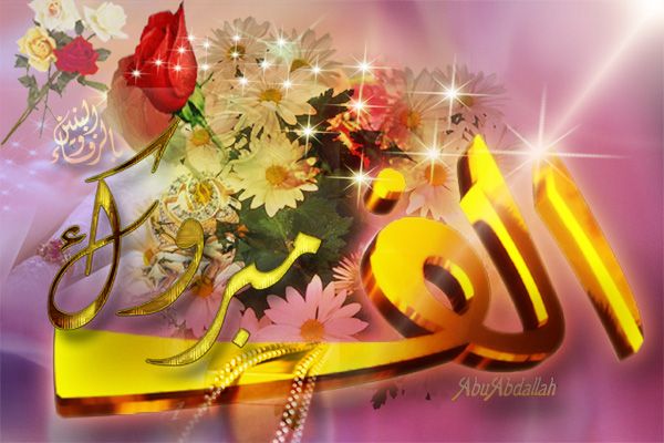 افراح ال اللحام