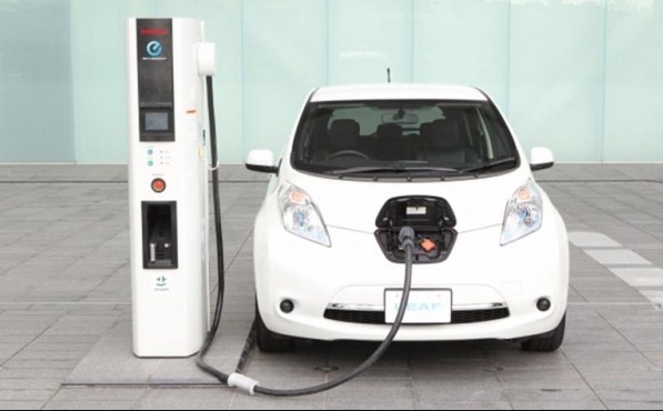 بالفيديو .. يحققان رقما قياسيا بقيادة