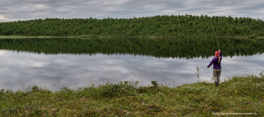 بعد 30 عاما من الغياب.. فتاة