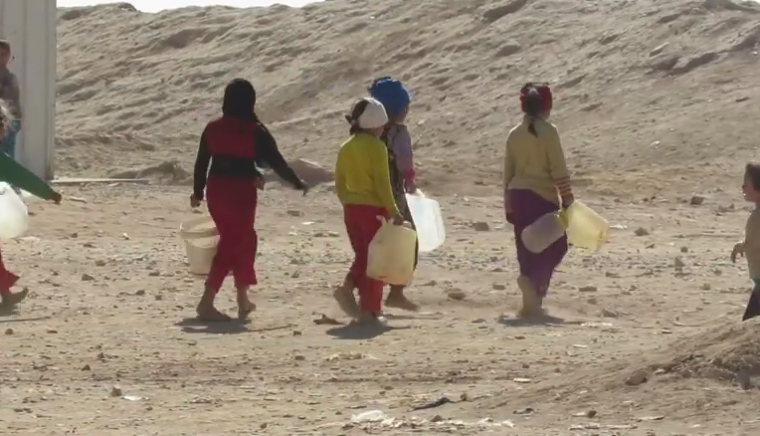 سوريا.. عشائر تدمر تناشد الأردن التدخل