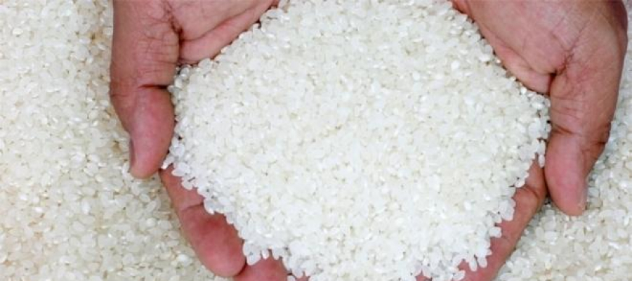 بعدما كانت من الدول المصدرة.. مصر