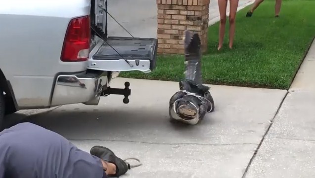 تمساح عنيد يضرب رجلا ويفقد آخر