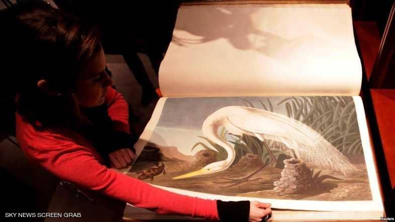 طيور أميركا.. نسخة نادرة مقابل 9.6