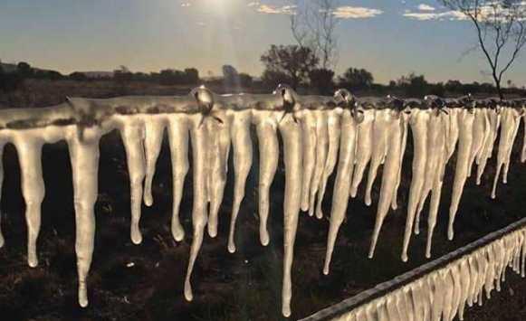 الثلوج تغزو أستراليا