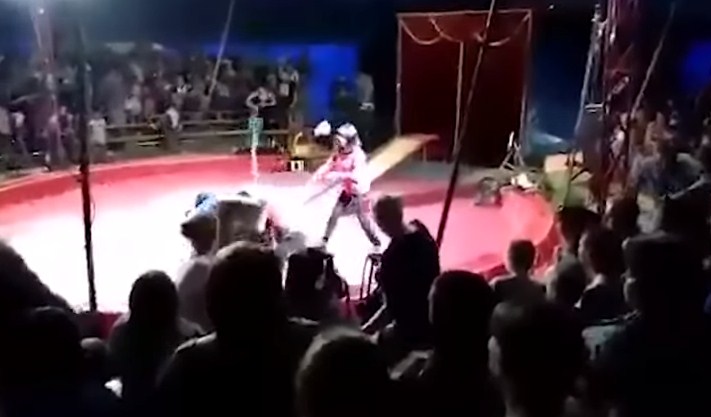 بالفيديو .. لحظة مهاجمة دب غاضب