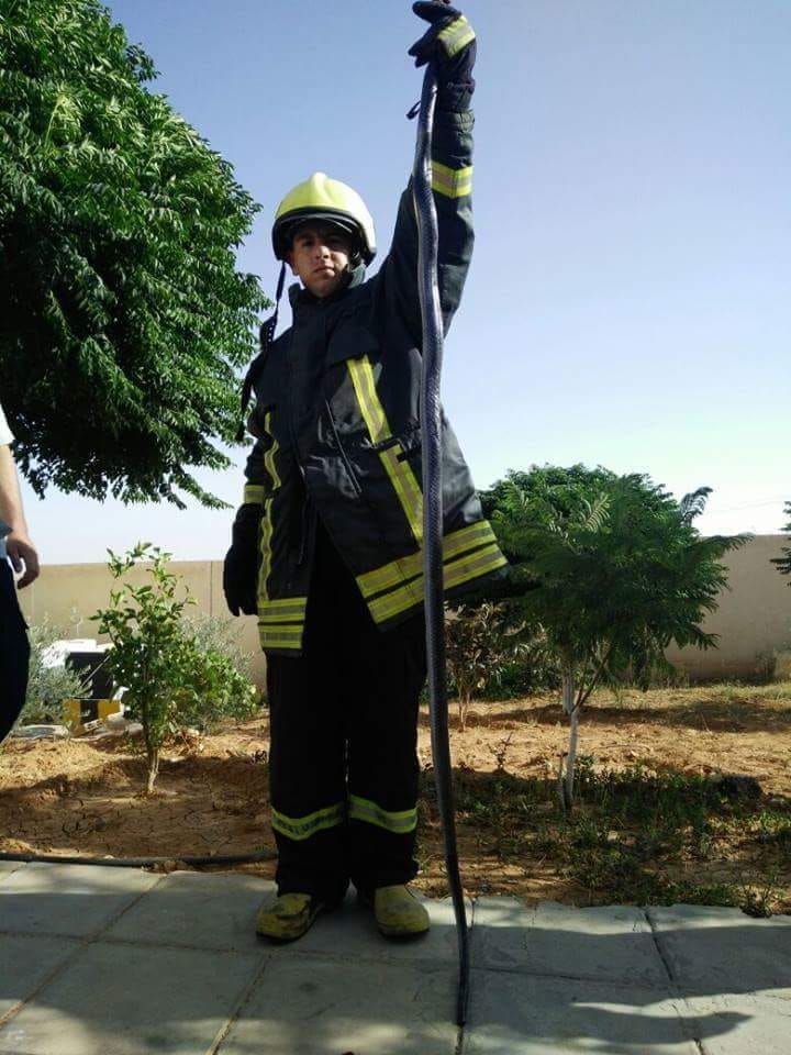 دفاع مدني المفرق يقتل أفعى بطول