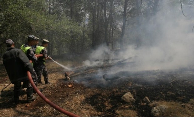 اخماد 38 حريقا أتت على 660