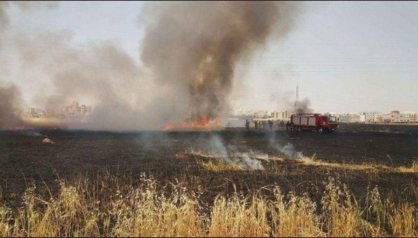 حريق يأتي على 10 دونمات بالهاشمية