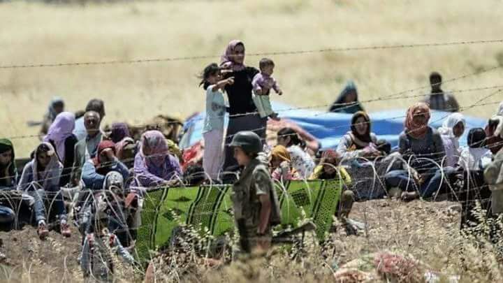 السرحان تكتب: الإنسانية تستغيث