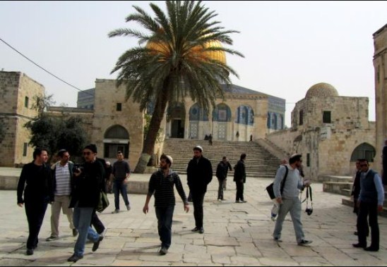 متطرفون يقتحمون باحات الاقصى بحراسة مشددة