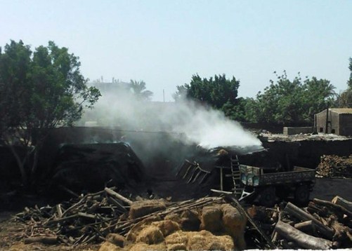 ضبط مفحمة غير مرخصة في عجلون