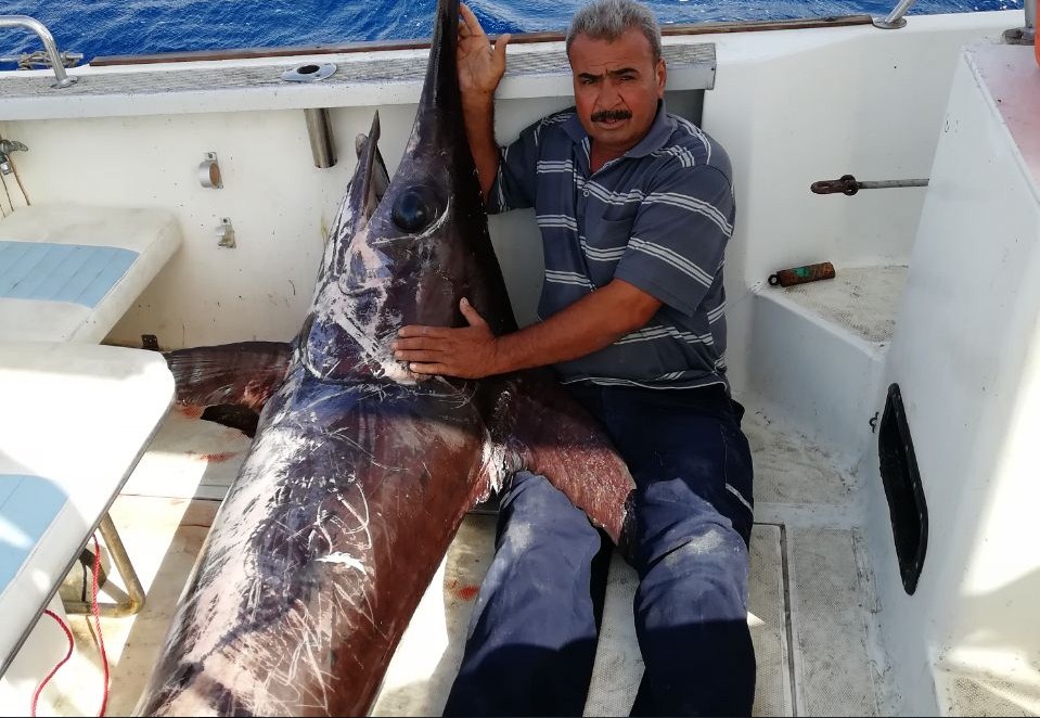 اصطياد سمكة يبلغ وزنها 153 كغم