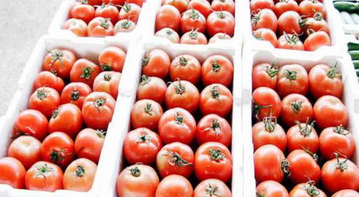 ارتفاع اسعار البندورة محليا