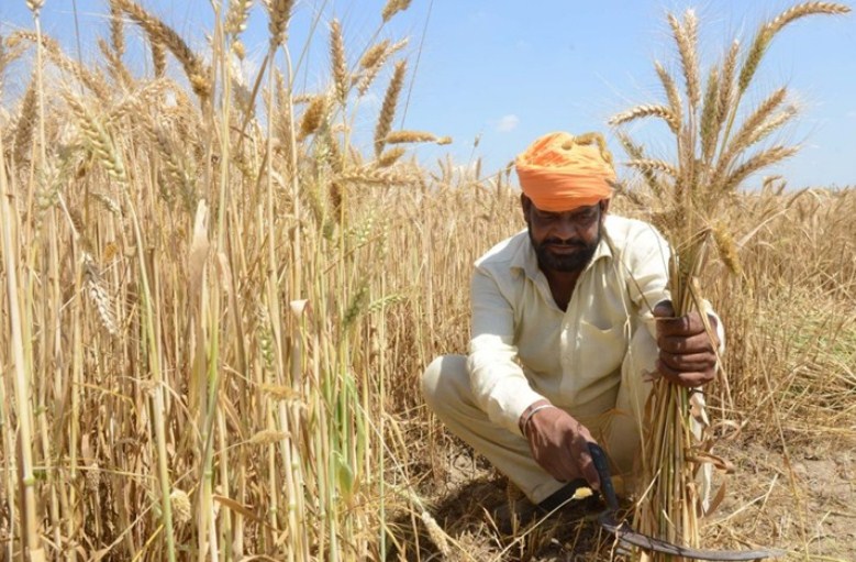 فاو: أسعار الغذاء تتراجع لأول مرة