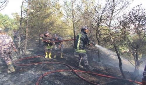 إخماد حريق أعشاب جافة في محافظة