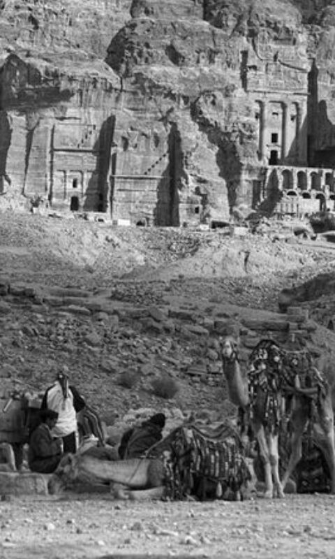 ظاظا تتبنى مبادرة الفرجات والفلاحات وشركة