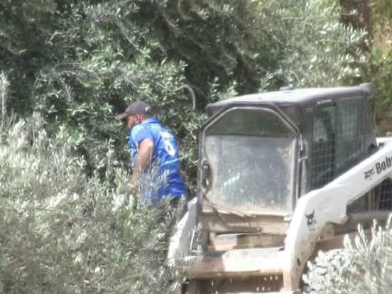 رئيس بلدية.. وقصة مزرعة