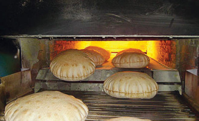 ضبط حشرات ومواد تالفة في مخبز