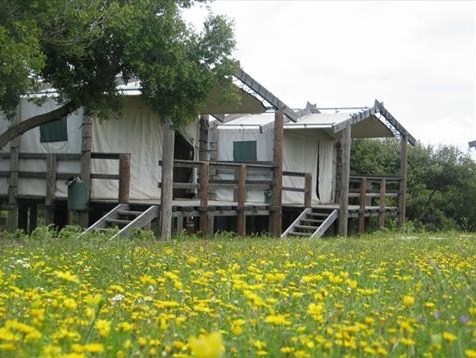 نسبة الاشغال في مشروعات محمية عجلون