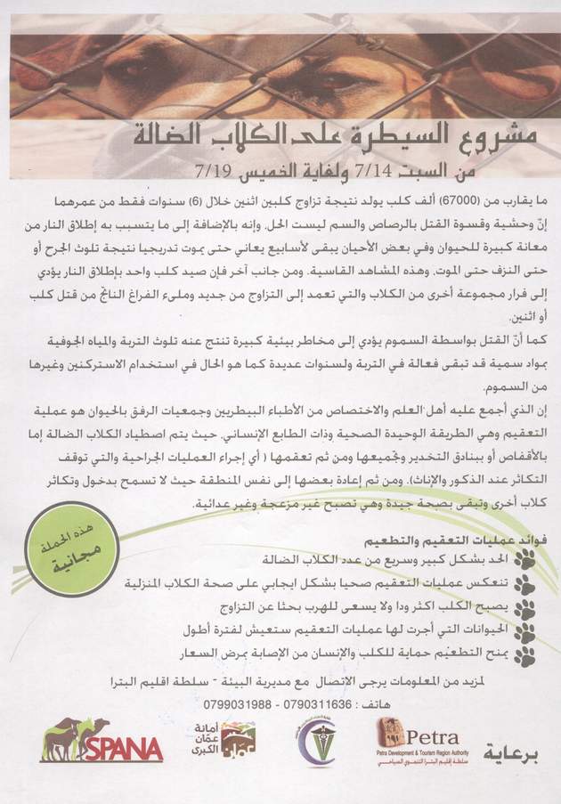 انطلاق الحملة الخاصة بالسيطرة على الكلاب