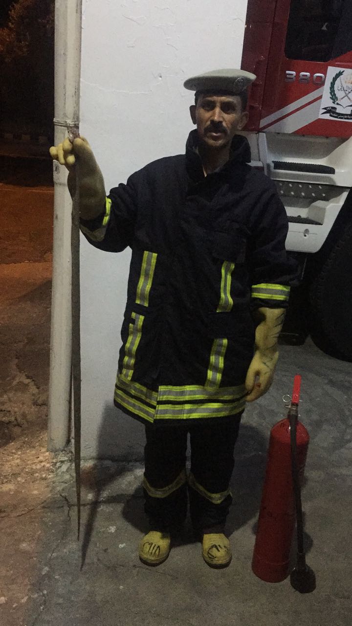 الدفاع المدني يقتل أفعى سامة في