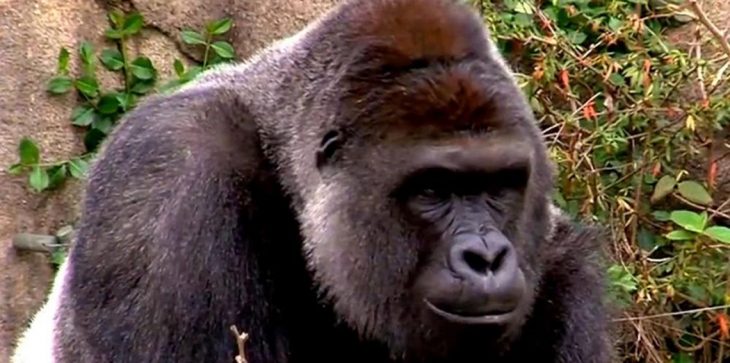 أثارت الخوف والسخرية في آن واحد..