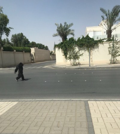 «شامبانزي» يتجول بشارع بالرياض (صور)