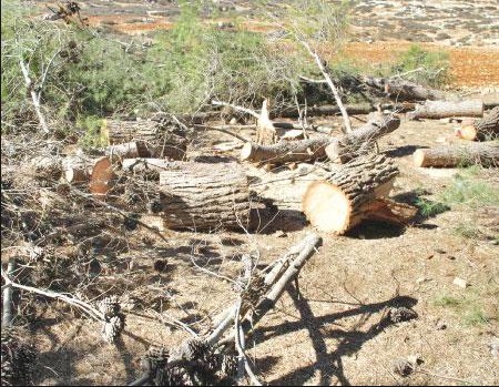 ضبط 3 أشخاص وتغريم شركة 55