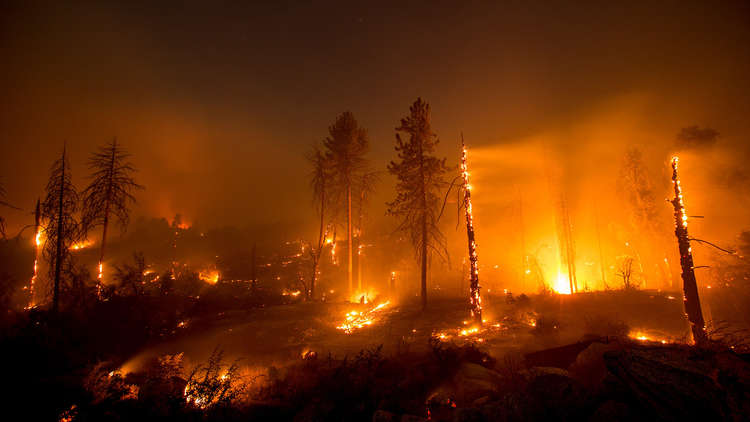 حرائق الغابات في كاليفورنيا تقترب من