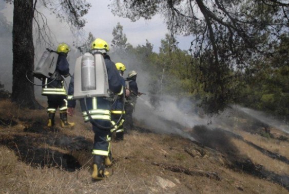إخماد حريق أعشاب جافة وأشجار حرجية