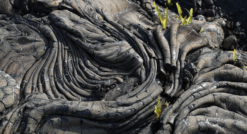 دراسة: كابلات الإنترنت يمكنها التنبؤ بالزلازل