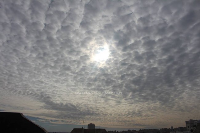 الخميس.. أجواء باردة نسبيا مع فرصة