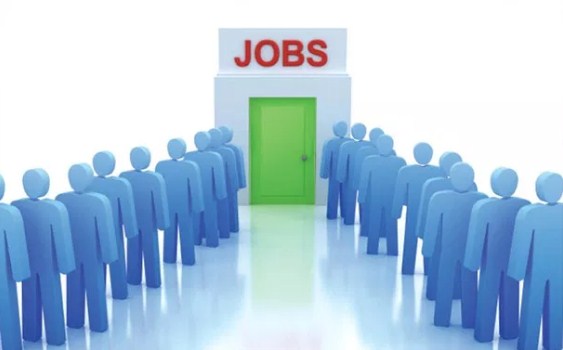 فرص عمل للذكور والإناث باربد