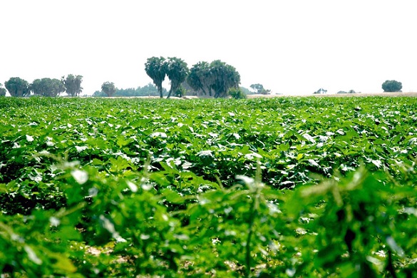 رئيس الهيئة العربية للاستثمار: الاردن يوفر