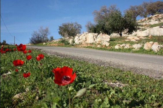 اجواء صيفية عادية اليوم وغدا