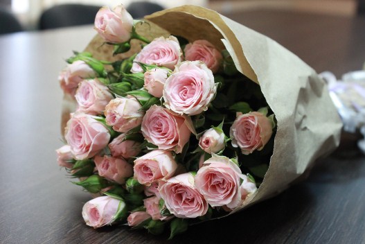 كامل القدومي .. مبروك المولود الجديد