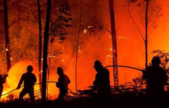 اوروبا .. انحسار الحر واستمرار الحرائق