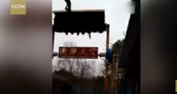 لحظة سقوط فتاة من إحدى ألعاب